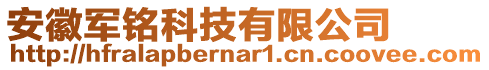 安徽軍銘科技有限公司