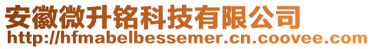 安徽微升銘科技有限公司