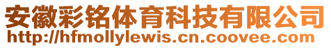 安徽彩銘體育科技有限公司