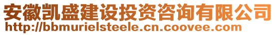 安徽凱盛建設(shè)投資咨詢有限公司