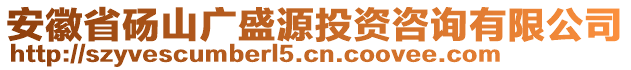 安徽省碭山廣盛源投資咨詢有限公司