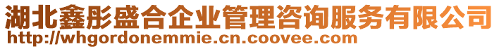 湖北鑫彤盛合企業(yè)管理咨詢服務(wù)有限公司