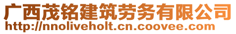 廣西茂銘建筑勞務(wù)有限公司