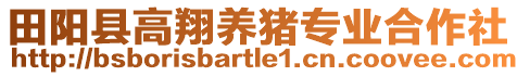 田陽縣高翔養(yǎng)豬專業(yè)合作社