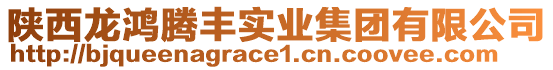 陜西龍鴻騰豐實(shí)業(yè)集團(tuán)有限公司