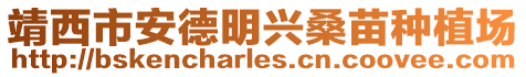 靖西市安德明興桑苗種植場(chǎng)