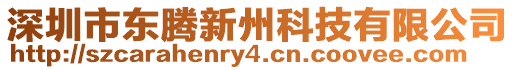 深圳市東騰新州科技有限公司