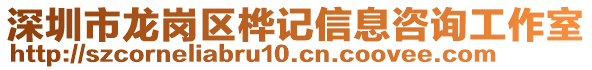 深圳市龍崗區(qū)樺記信息咨詢工作室