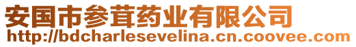 安國市參茸藥業(yè)有限公司