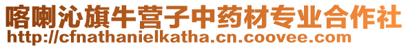 喀喇沁旗牛營(yíng)子中藥材專(zhuān)業(yè)合作社