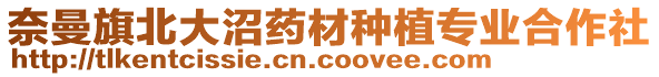 奈曼旗北大沼藥材種植專業合作社