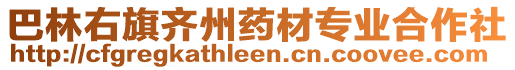 巴林右旗齊州藥材專業(yè)合作社