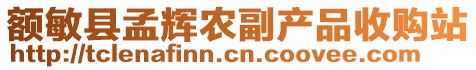 額敏縣孟輝農(nóng)副產(chǎn)品收購站