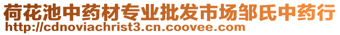 荷花池中藥材專業(yè)批發(fā)市場(chǎng)鄒氏中藥行