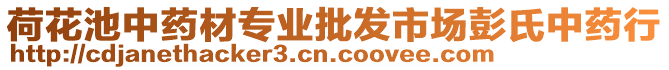 荷花池中藥材專業(yè)批發(fā)市場(chǎng)彭氏中藥行