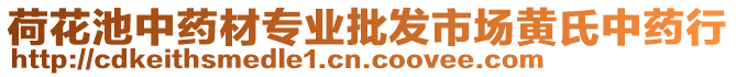 荷花池中藥材專業(yè)批發(fā)市場黃氏中藥行