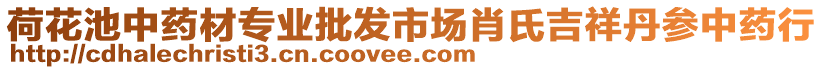 荷花池中藥材專業批發市場肖氏吉祥丹參中藥行