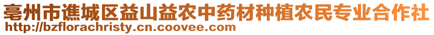 亳州市譙城區(qū)益山益農(nóng)中藥材種植農(nóng)民專業(yè)合作社