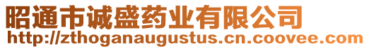 昭通市誠盛藥業(yè)有限公司