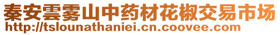 秦安雲(yún)霧山中藥材花椒交易市場