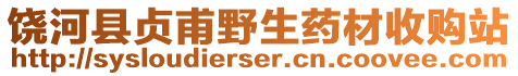 饒河縣貞甫野生藥材收購站