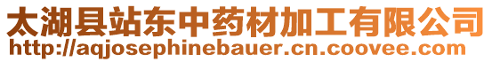 太湖縣站東中藥材加工有限公司