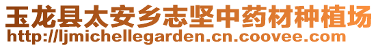 玉龍縣太安鄉(xiāng)志堅中藥材種植場