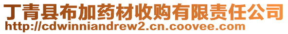 丁青縣布加藥材收購有限責任公司