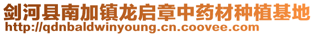 劍河縣南加鎮(zhèn)龍啟章中藥材種植基地