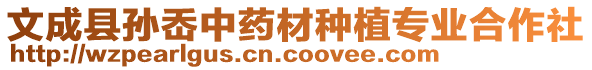 文成縣孫岙中藥材種植專業(yè)合作社