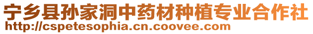 寧鄉(xiāng)縣孫家洞中藥材種植專業(yè)合作社