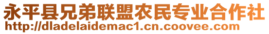 永平縣兄弟聯(lián)盟農(nóng)民專業(yè)合作社