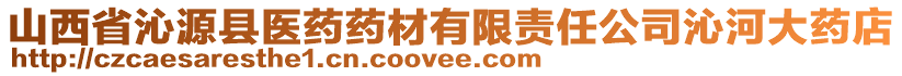 山西省沁源县医药药材有限责任公司沁河大药店