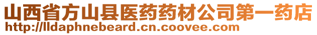 山西省方山縣醫(yī)藥藥材公司第一藥店