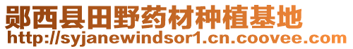 郧西县田野药材种植基地