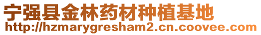 寧強縣金林藥材種植基地