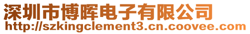 深圳市博暉電子有限公司
