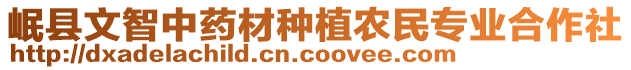 岷縣文智中藥材種植農(nóng)民專業(yè)合作社