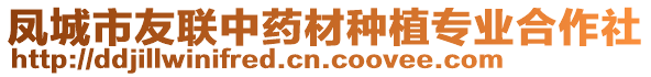 鳳城市友聯(lián)中藥材種植專業(yè)合作社