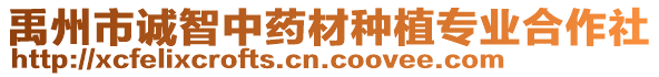 禹州市诚智中药材种植专业合作社