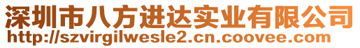 深圳市八方進達實業(yè)有限公司