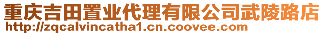 重慶吉田置業(yè)代理有限公司武陵路店