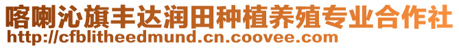 喀喇沁旗豐達(dá)潤田種植養(yǎng)殖專業(yè)合作社