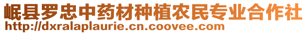 岷縣羅忠中藥材種植農(nóng)民專(zhuān)業(yè)合作社