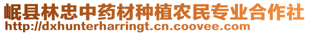 岷縣林忠中藥材種植農民專業合作社