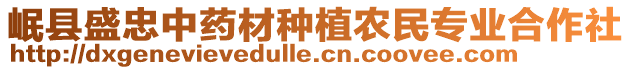 岷縣盛忠中藥材種植農(nóng)民專業(yè)合作社