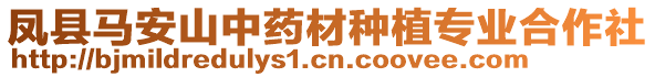 鳳縣馬安山中藥材種植專業(yè)合作社