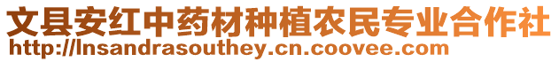 文縣安紅中藥材種植農民專業合作社