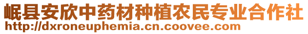 岷縣安欣中藥材種植農民專業(yè)合作社