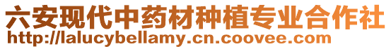 六安現(xiàn)代中藥材種植專業(yè)合作社